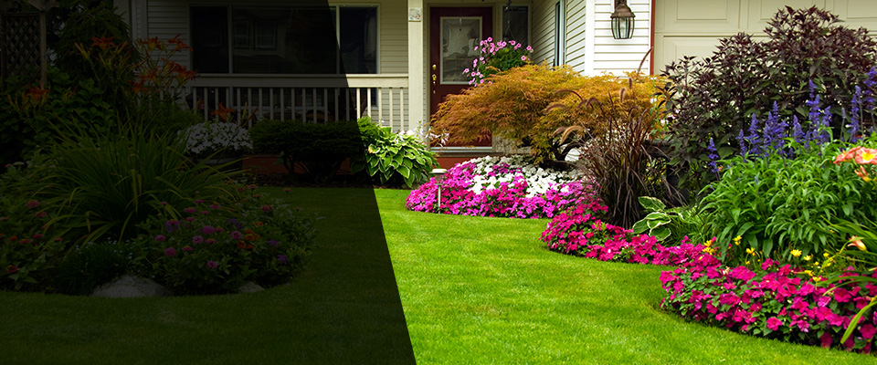 Oak Forest Landscapers