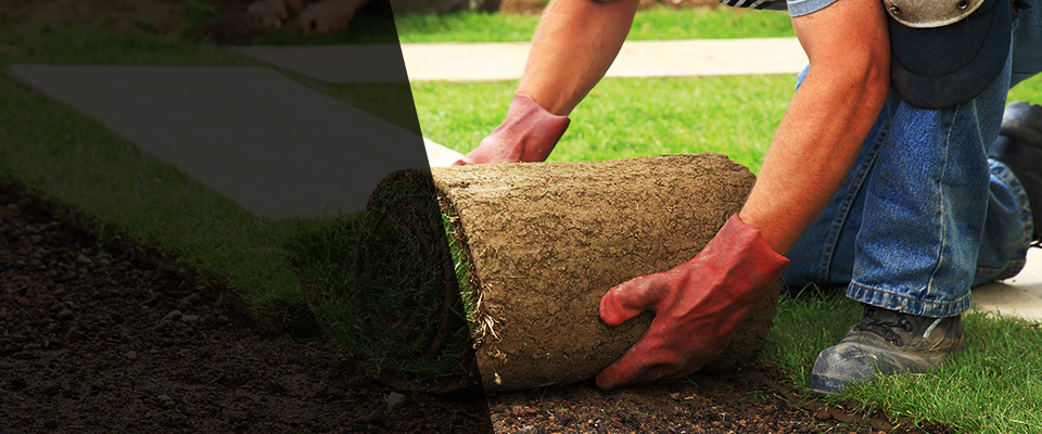 Oak Forest Landscapers